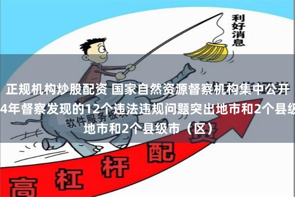 正规机构炒股配资 国家自然资源督察机构集中公开约谈202