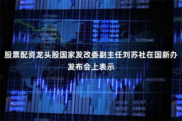 股票配资龙头股国家发改委副主任刘苏社在国新办发布会上表示