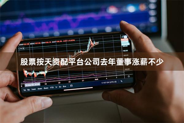 股票按天资配平台公司去年董事涨薪不少